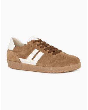 Gabor West Trainers - Brown