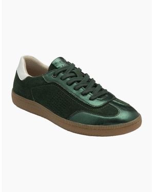 Lotus Frapporta Trainers - Green
