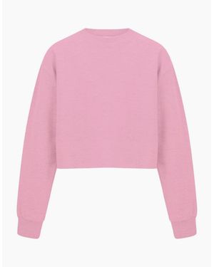 Miso Cropped Sweatshirt - Pink