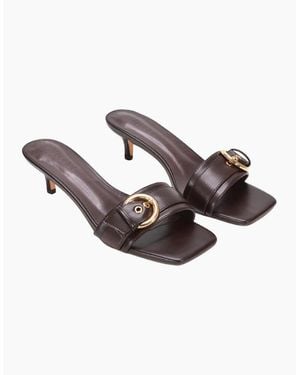 XY London Ladies Addison Buckle Detail Slip-On Kitten Heel Mule Sandals - Brown