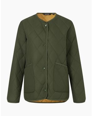 Regatta Ladies Maia Quilted Padded Jacket - Green