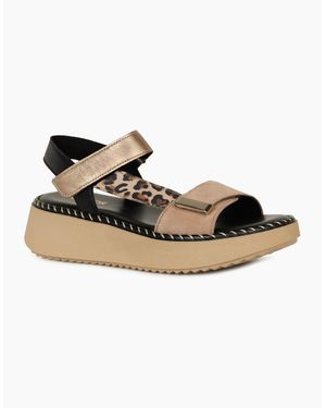 Gabor Foam Sandals - Brown