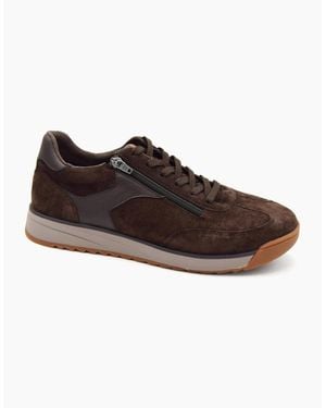 Waldläufer Carlo 567001 - Brown