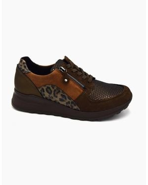 Waldläufer Gem H64007 - Brown