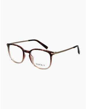 Esprit Optical Frame Et17569 545 50 - Brown