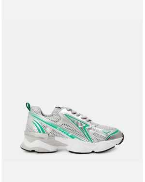 Steve Madden Heritage Low Top Trainers - Green