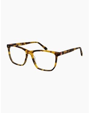 Benetton Optical Frame Beo1115 103 54 - Brown