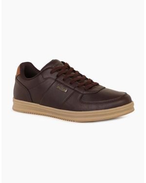 Skechers Palmiro Monty Waterproof Trainers - Brown