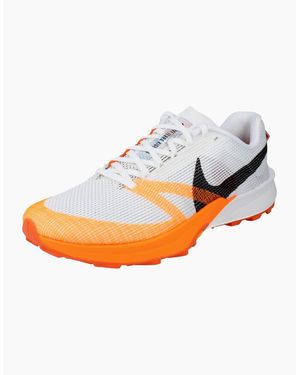 Nike Terra Kiger 10 Running Trainers Fv3929 Shoes 101 - Grey