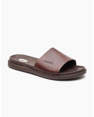 Base London Albany Slide Sandals - Brown