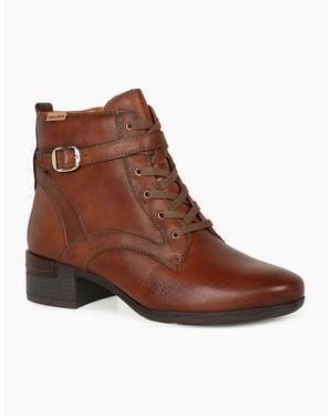 Pikolinos Murrey Ankle Boots - Brown