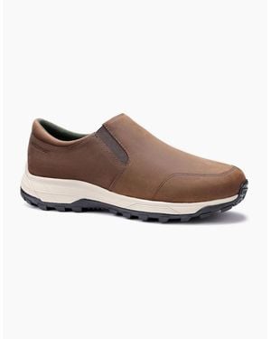 Hotter Munro Waterproof Shoes - Brown