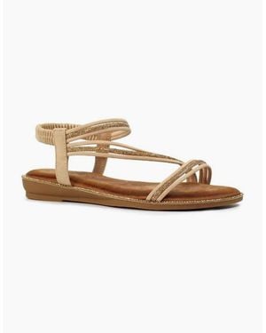Lunar Aruba Jlh532 - Pink