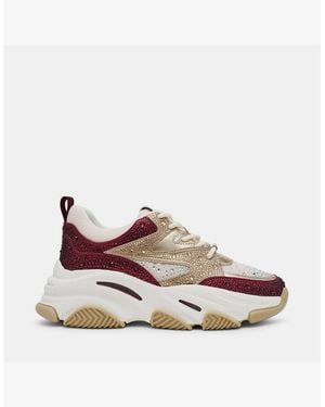 Steve Madden Privy Trainer - Brown