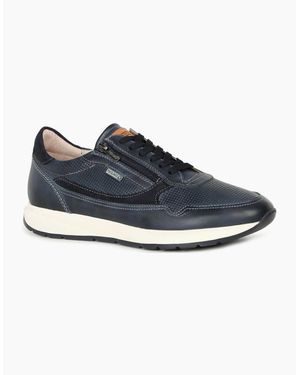 Pikolinos Getafe Trainers - Blue