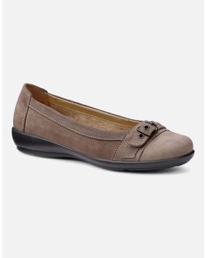 Hotter Sparrow Flat Court Shoes - Brown