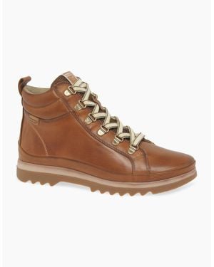 Pikolinos Vigo Ankle Boots - Brown