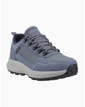 Cotswold Elmfield Suede Hiking Shoes - Blue