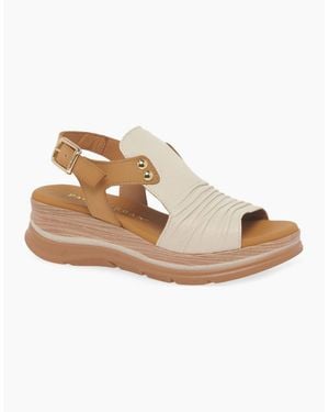 Paula Urban Riviera Ii Sandals - Brown