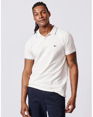 aubi Percy Tipped Polo - White