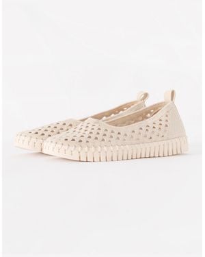Ilse Jacobsen Tulip Ballerina Shoe - Natural