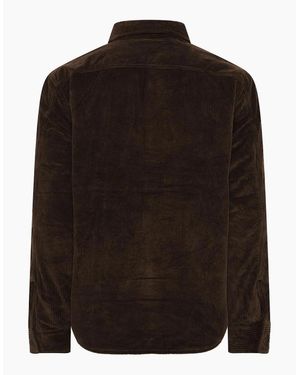 Lacoste Long Sleeve Oxford Shirt - Brown