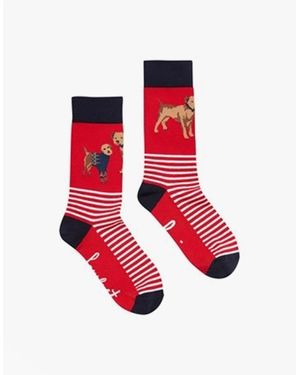 Joules Excellent Everyday Single Socks Dog: Uk 4-8 - Red