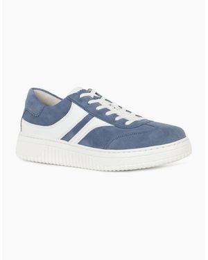 Gabor Badge Trainer - Blue