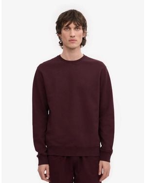COLORFUL STANDARD Classic Organic Crew Neck Sweatshirt - Red