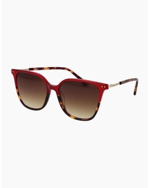 Replay Sunglasses Ry473V 03S 53 - Brown