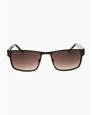 Tommy Hilfiger Havana Sunglasses - Brown