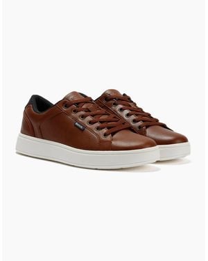 Bench Wainwright Tan Trainers - Brown
