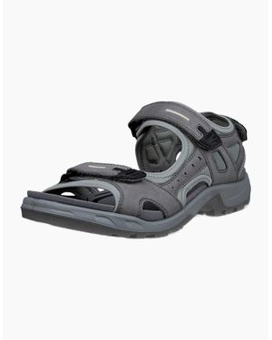 Ecco Offroad Yucatan Walking Sandals - Black