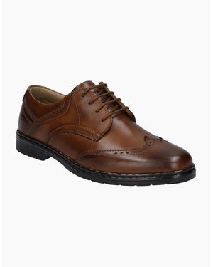 Josef Seibel Alastair 14 Brogues - Brown