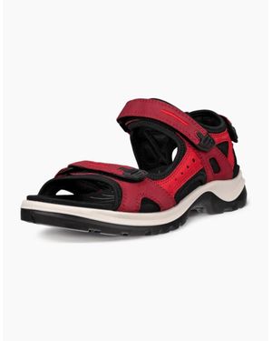 Ecco Offroad Nubuck Outdoor Walking Sandals - Red