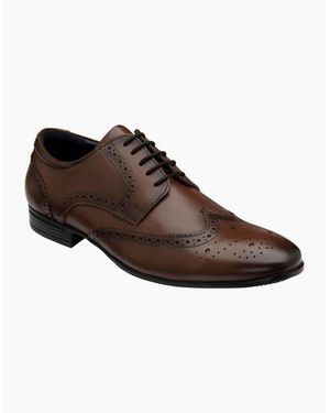 Lotus Easton Brogues - Brown