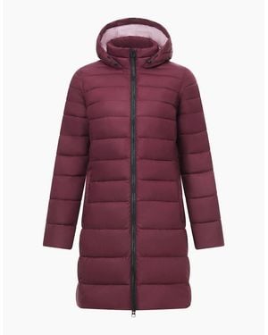 Regatta Ladies Amara Padded Jacket - Purple