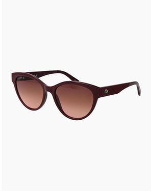 Lacoste Sunglasses L983S 601 55 - Brown