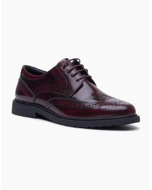 Hush Puppies Verity Hi-Shine Leather Plum Brogues Shoes - Purple