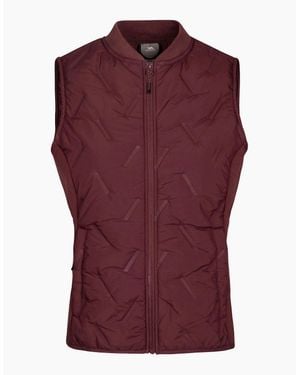 Trespass Ladies Miran Hybrid Active Gilet - Purple