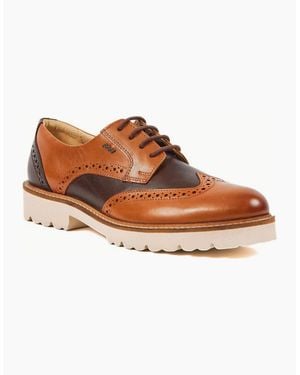 Pod Kortney Brogues - Brown