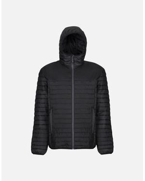 Regatta Professional Padded Jacket - Black