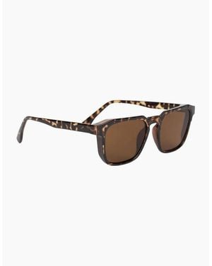 Trespass Adult Elania Sunglasses - Brown