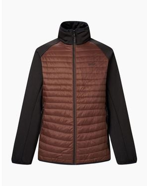 Regatta Clumber Hybrid Jacket - Brown