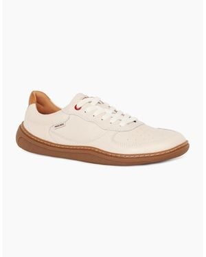 Pikolinos Aranjuez Trainers - White
