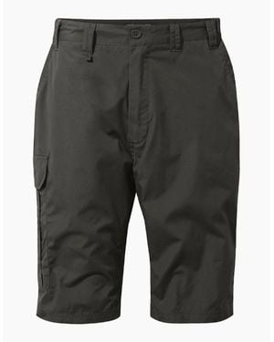 Craghoppers Kiwi Long Shorts - Grey