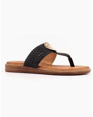Lunar Fiona Jlh591 - Brown