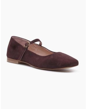 Hush Puppies Pasha Suede Chocolate Flats - Purple
