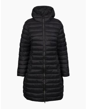 Trespass Ladies Dorothea Padded Jacket - Black