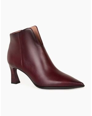 Hispanitas Paris Ankle Boots - Purple